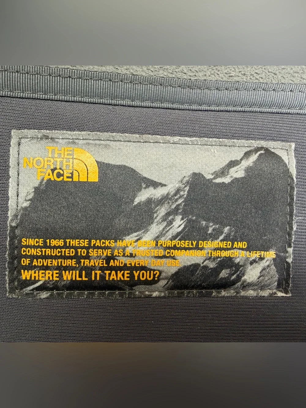 The North Face Borealis Backpack Black Blue FlexVent Laptop School Travel 28L